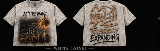 wealth Is Constantly Expanding Oversized Tee